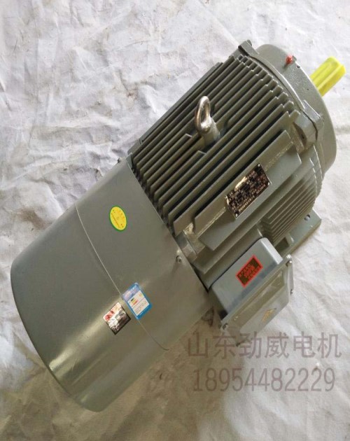 YEJ-200L1-5極18.5KW電磁制動(dòng)三相異步電動(dòng)機(jī)